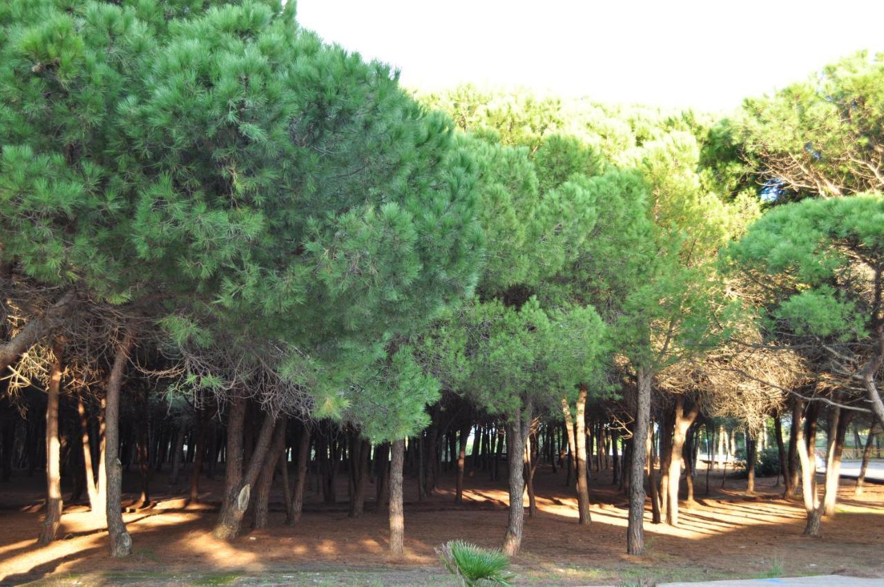 Sa Cala Manna Appartamento *