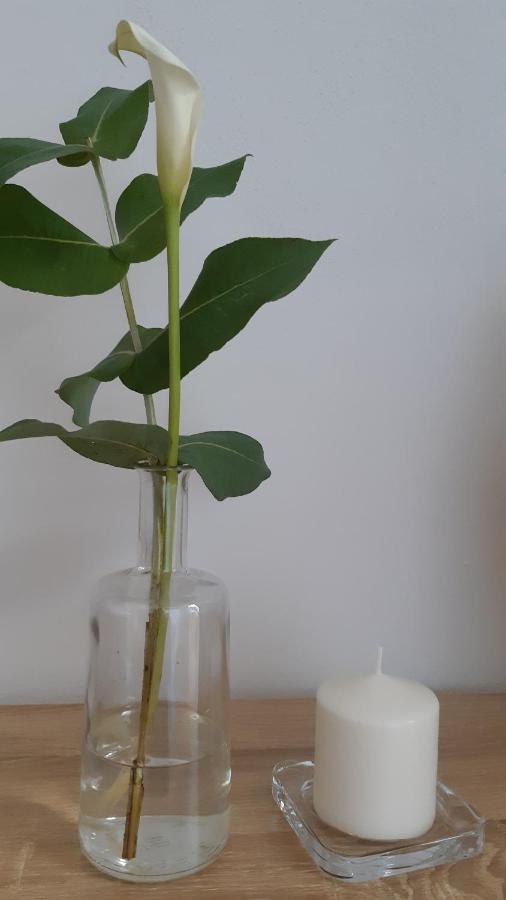 Sa Calla Manna Apartment