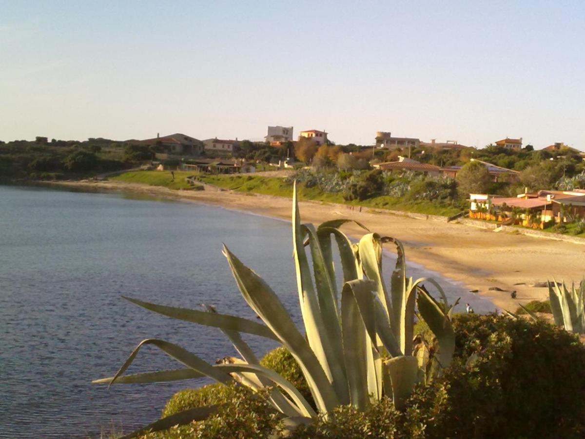 Sa Calla Manna Apartment *